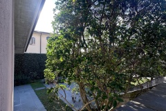 esterno2